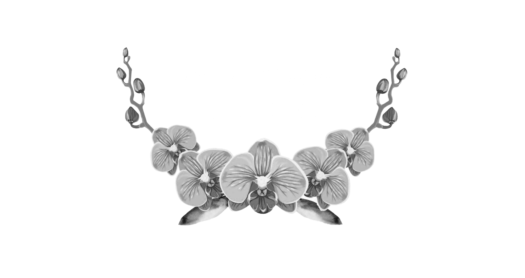 Hong Minh Quang Orchids white logo