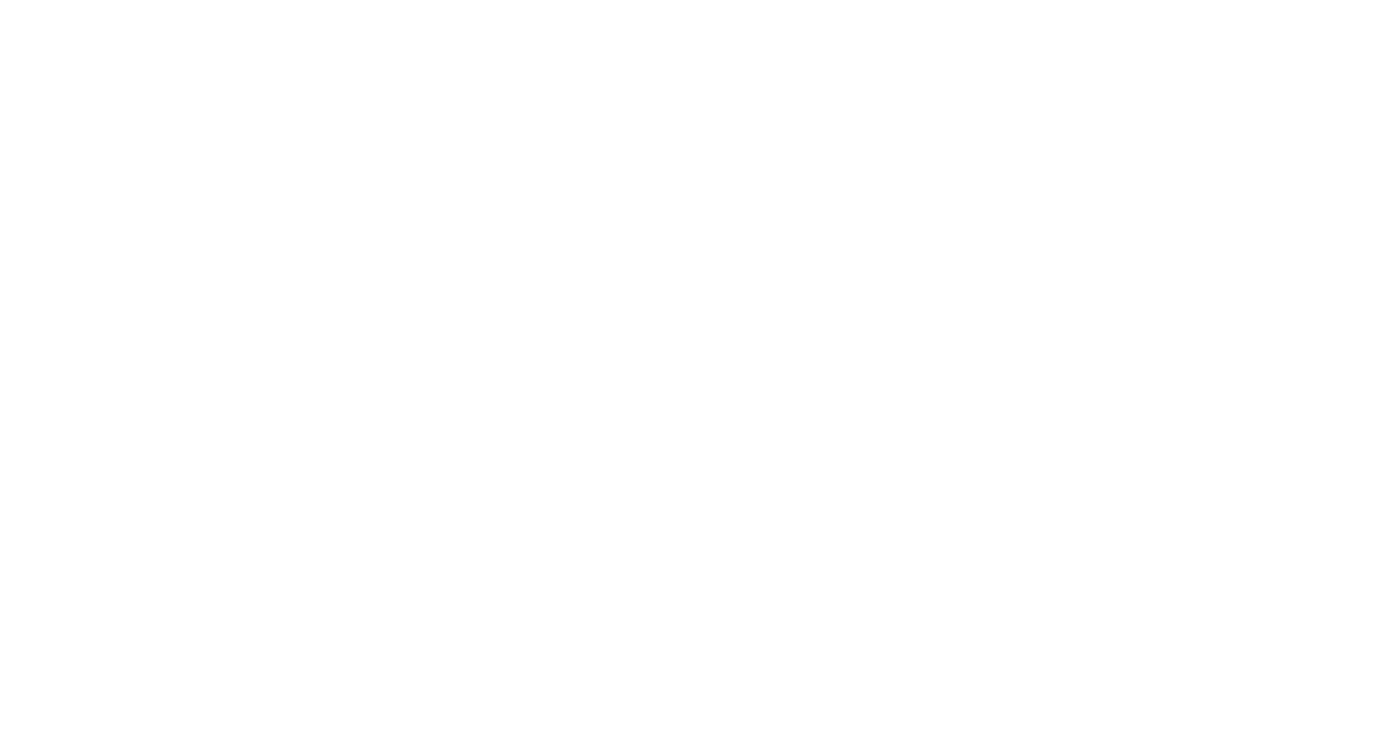 Nanomax Audio white logo