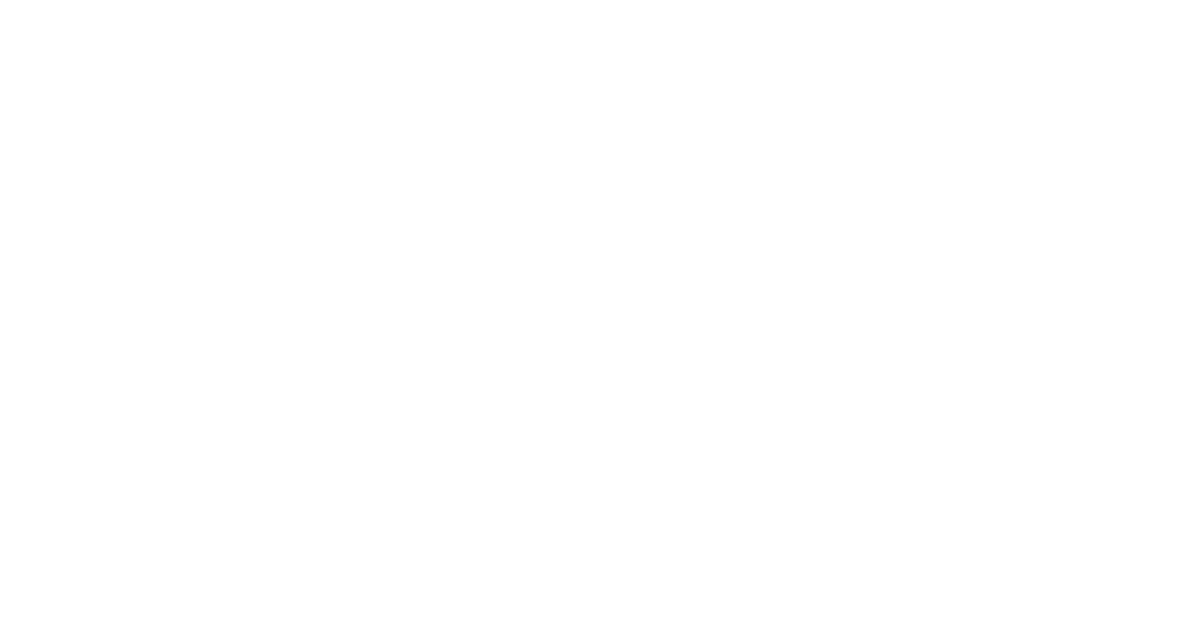 Nanomax Audio white logo